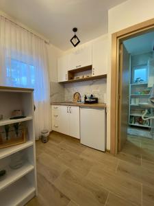 Kuchyňa alebo kuchynka v ubytovaní Apartman Emilija