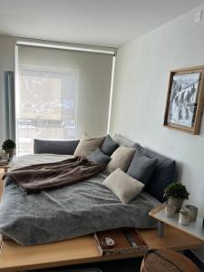un grand lit dans une chambre avec une fenêtre dans l'établissement Davos Luxury Apartment - 5 Min walking to Congress Center, à Davos 8 autres photos