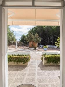ラ・サビーナにあるApartamentos Can Guasch Formenteraのギャラリーの写真