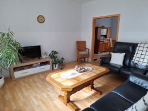 TV a/nebo společenská místnost v ubytování Ferienwohnung Elfriede