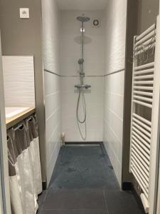 W łazience znajduje się kabina prysznicowa. w obiekcie Agréable studio proche de Rouen w mieście Le Grand-Quevilly