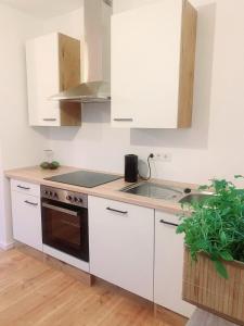 Η κουζίνα ή μικρή κουζίνα στο Light-flooded studio in Baunatal