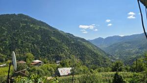 Foto dalla galleria di 10 Valley a Didachara