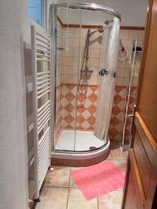 a bathroom with a shower with a toilet and a pink rug at Maison de village en Provence in Mouriès +9 photos