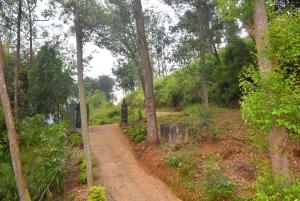 Giardino di Tunnel Side Hotel Ramboda