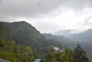 Paesaggio naturale nelle vicinanze dell'affittacamere