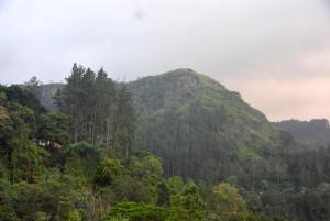 Paesaggio naturale nelle vicinanze dell'affittacamere
