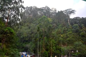 Paesaggio naturale nelle vicinanze dell'affittacamere