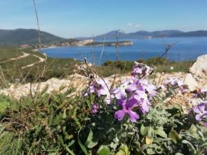 Φυσικό τοπίο κοντά σε αυτό το bed & breakfast