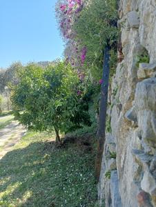 Ogród w obiekcie Tenuta di Venere
