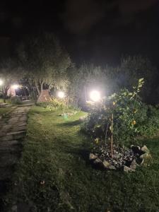 Ogród w obiekcie Tenuta di Venere
