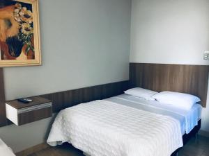 a bedroom with a bed and a picture on the wall at Cerrado Gran Hotel in Rio Verde