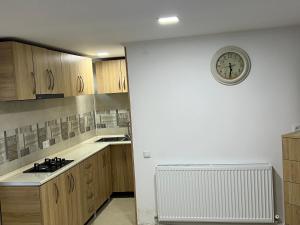 Kuchyň nebo kuchyňský kout v ubytování Guesthouse BATU