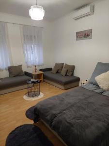 マコーにあるÁnizs Apartmanházのベッドとソファのあるリビングルーム