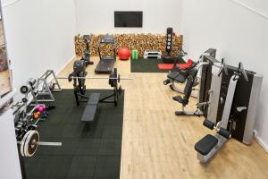 Fitness centrum a/nebo fitness zařízení v ubytování Seehaus Riessersee