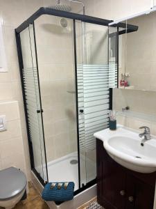 ein Badezimmer mit Dusche, Waschbecken und Toilette in der Unterkunft Maison montagne Lélou - 4 à 6 personnes - Saint Jacques des blats in Saint-Jacques-des-Blats