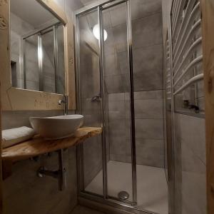 a bathroom with a sink and a shower at Pokoje gościnne "U Prusa" in Murzasichle
