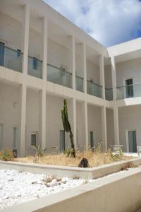 a large white building with a cactus in front of it at ONOMO Hotel Tanger Med in Tangier