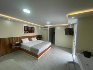 基布多Hotel Magistral Suiter的配有床和电视的酒店房间
