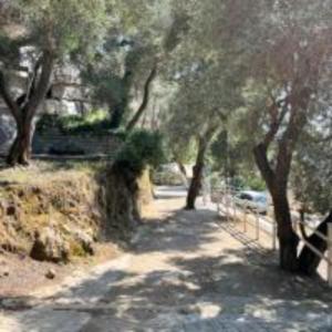 Gallery image of Poseidon beach Apartments in Paleokastritsa +30 photos