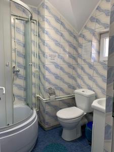 a bathroom with a toilet and a shower and a sink at Floare de colt in Arefu +20 photos