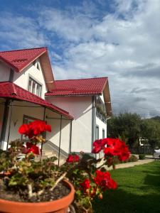 Gallery image of Floare de colt in Arefu