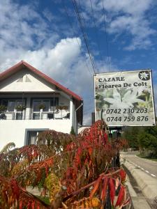 Gallery image of Floare de colt in Arefu