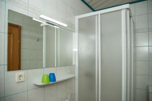 Kúpeľňa v ubytovaní Ferienwohnung Seifterhof