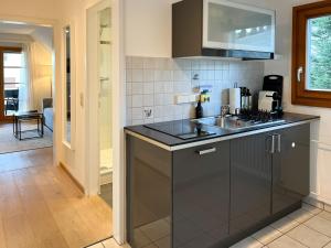 a kitchen with a sink and a counter top at Panorama Apartment mit Titisee-Blick - Villa Hubertus in Feldberg +23 photos