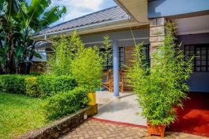 Κήπος έξω από το Jama Cosy Homes