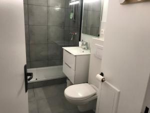 a bathroom with a toilet and a shower and a sink at Studio spacieux bord de mer in Camiers +17 photos