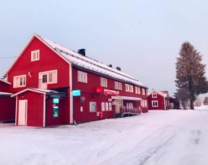 Polar Bo v zimě