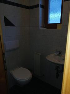 um banheiro com vaso sanitário e pia em Permadieshof L em Sankt Leonhard im Pitztal