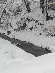 Vikendica Jagodica v zimě + 37 fotografií