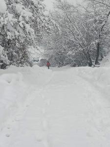 Vikendica Jagodica v zimě