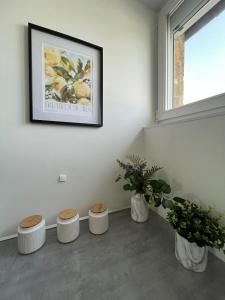 Foto dalla galleria di Appartement T2 Il Dolce Farniente a Le Creusot