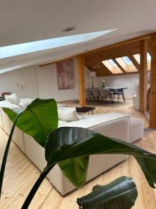 a living room with a white couch and a green plant at 17er Apartment mit Sauna und Garage in Mondsee