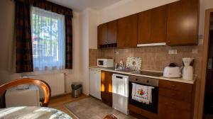 Kuchyňa alebo kuchynka v ubytovaní Bernadett Villa Apartman 3