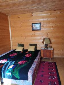 Postel nebo postele na pokoji v ubytování Vikendica Jagodica