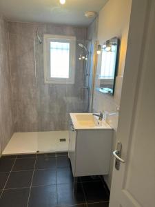 a bathroom with a shower and a sink and a mirror at Le Pasquier in Annoire