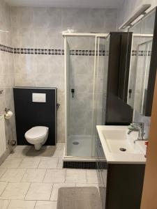 un bagno con doccia, WC e lavandino di Apartment Nico Völklingen-Ludweiler a Völklingen
