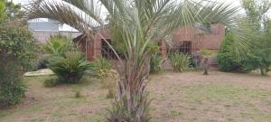 a palm tree in front of a brick building at Casa quinta vacacional in Mar del Tuyú