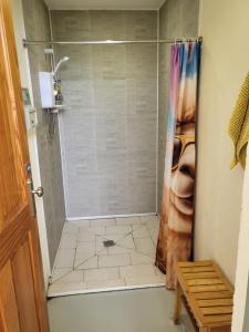 a bathroom with a shower with a spider in it at alpaca view Dome in New Holland +30 photos
