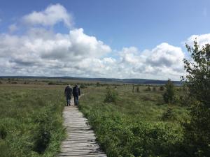 Paesaggio naturale nelle vicinanze della stanza in casa privata
