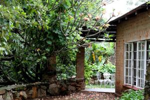 a brick building with a window and a tree at Down Gran's Self-Catering Cottage in Lobamba