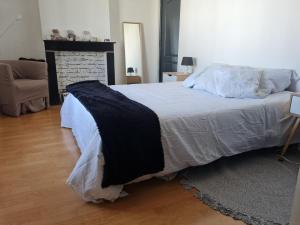 a bedroom with a bed and a fireplace at Appartement privatif cozy Euratechnologies in Lille