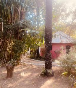 Gallery image of Auberge Culturelle Les Belles Etoiles in Abene