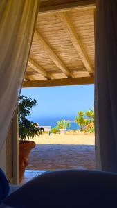 Příroda nedaleko vily