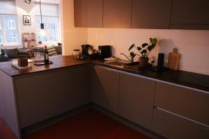 Kuchyň nebo kuchyňský kout v ubytování A Place Antwerp - Boutique Suites & Flats - Leeuwenstraat 20