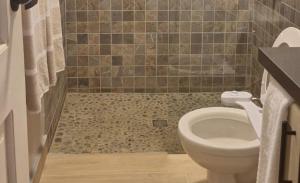 a bathroom with a toilet and a tiled shower at Tiny Home Villa - T8 in San Diego